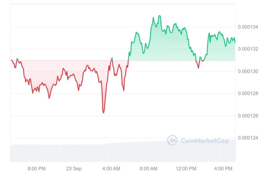 FLOKI 1D graph coinmarketcap 2