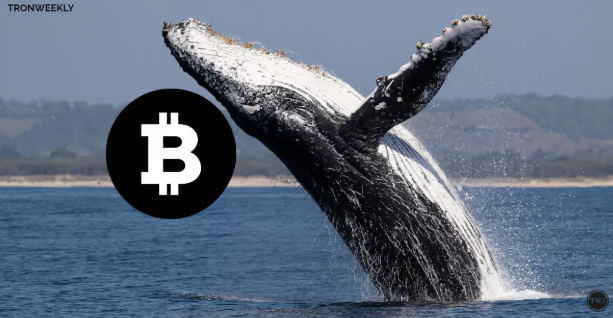 Bitcoin Whale Transactions Surge 3X with CoinJoin Amid $2.2B Crypto Thefts