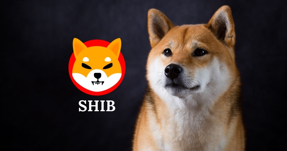 Shiba inu