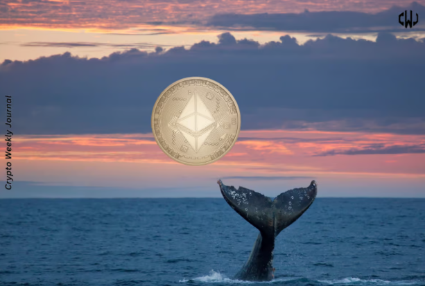 Whale Profits $9.98M from $28.5M WBTC Binance Trade